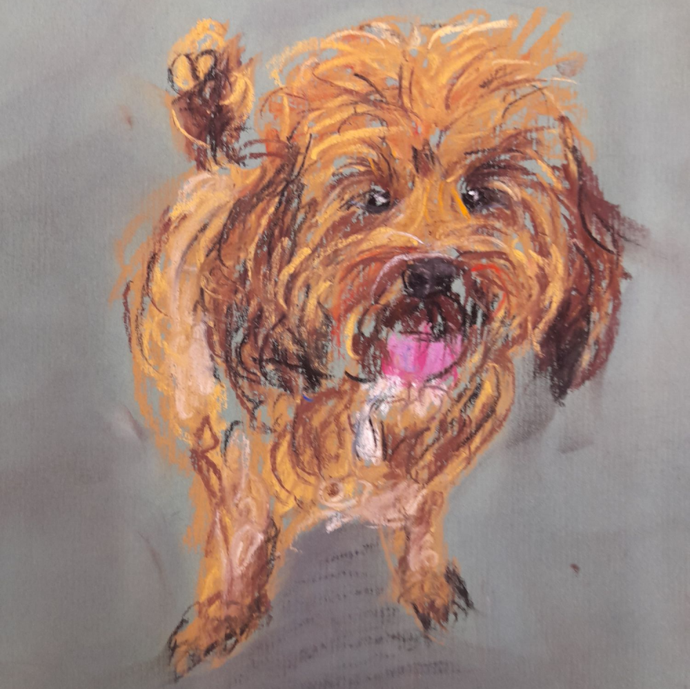 Half-day Saturday workshops NW - Pet portraits 3rd August 2024