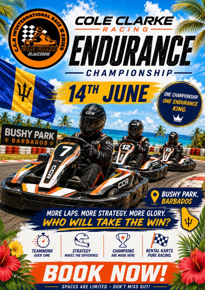 Extra Driver - 3 Hours - June 14th  2026