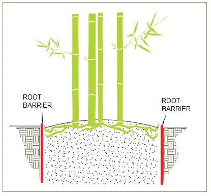info - Root Barrier