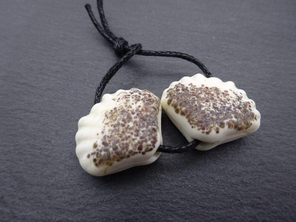 ivory shells
