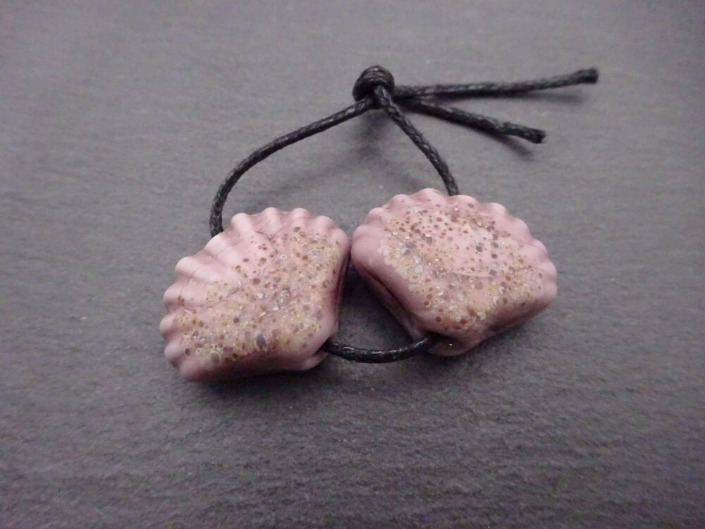 purple shells tumbled