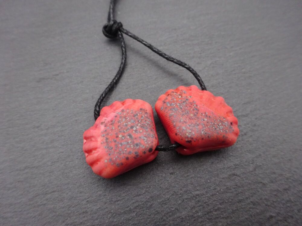 coral sea shells