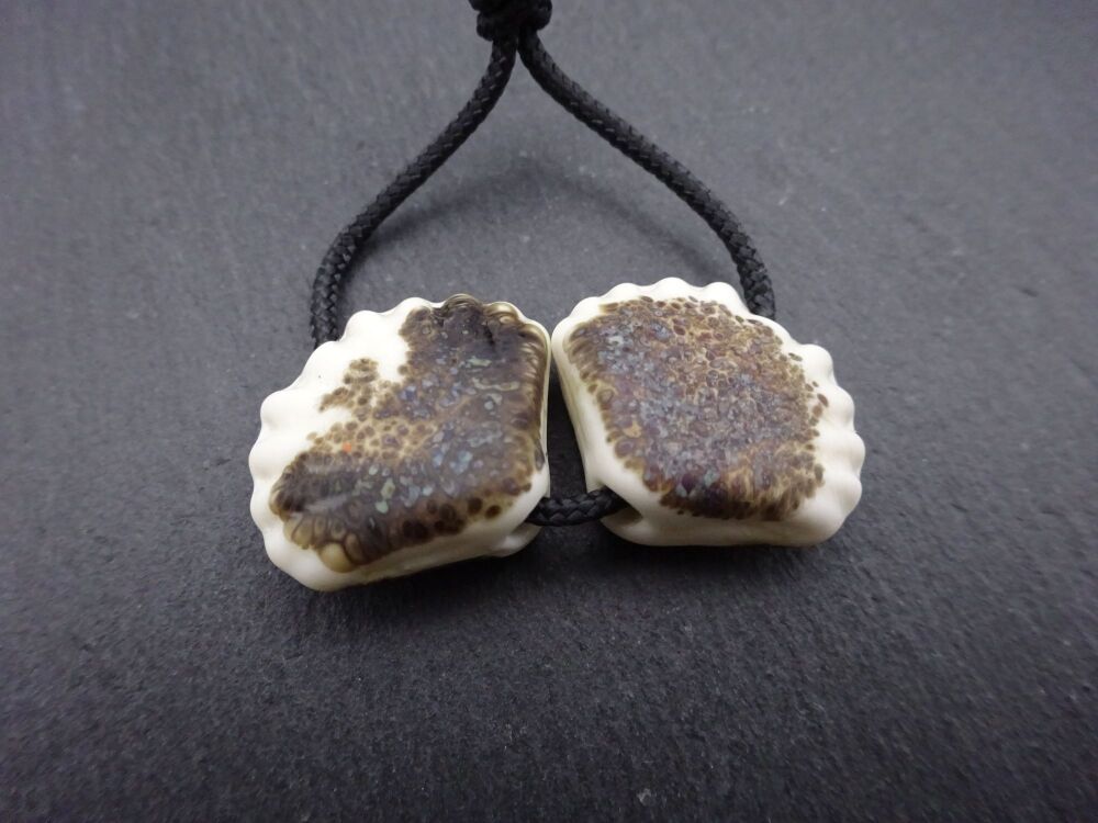 ivory and dark brown frit shells