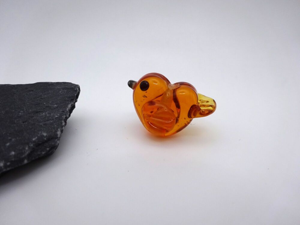 amber bird