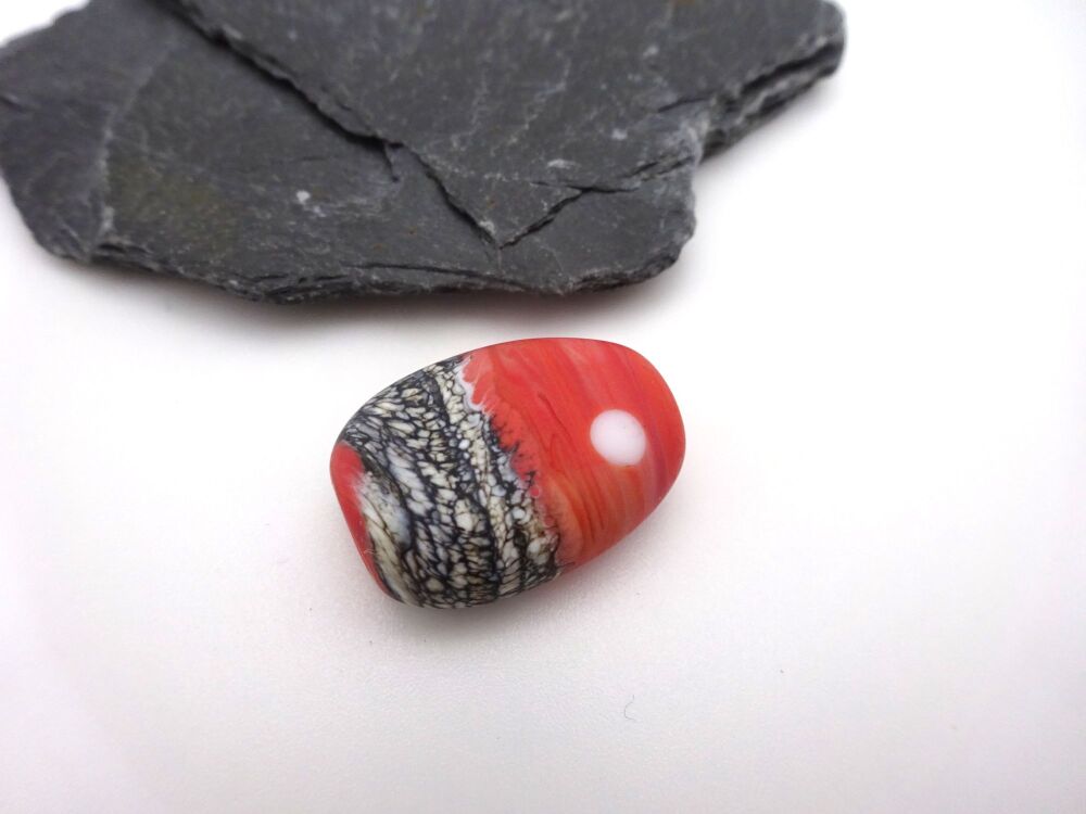 coral moon