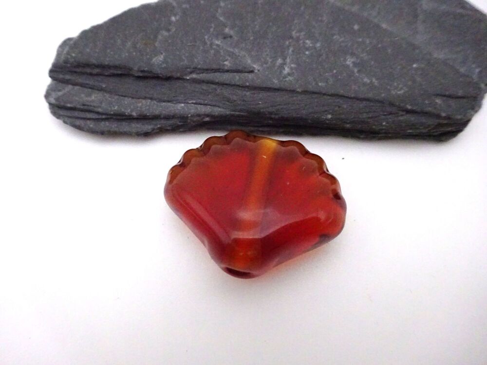 amber seashell