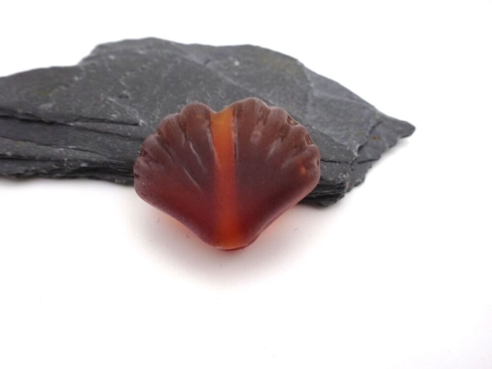 frosted amber sea shell