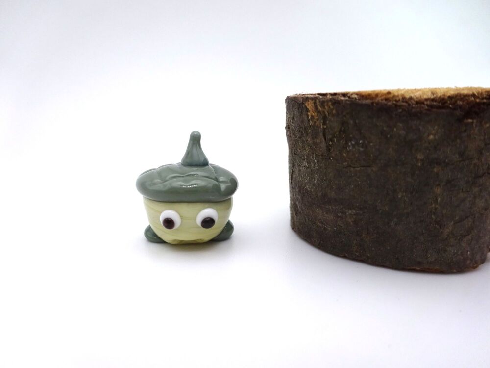 light brown acorn