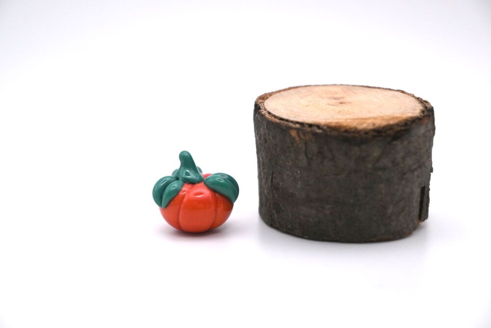 small pumpkin 2