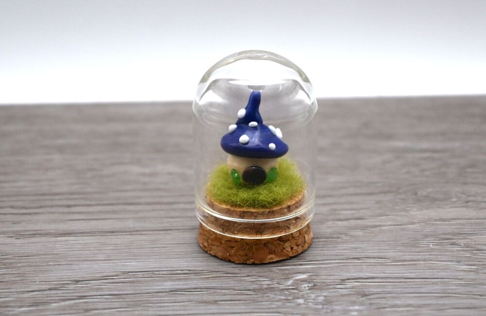 blue toadstool house