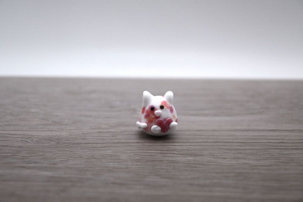 white cat with heart