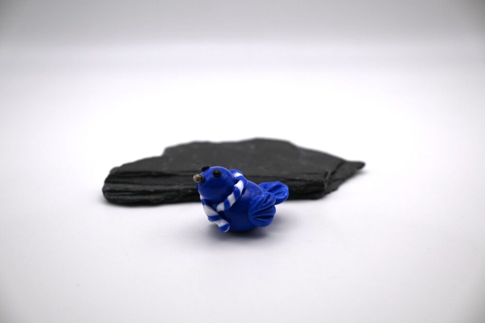 blue football bird