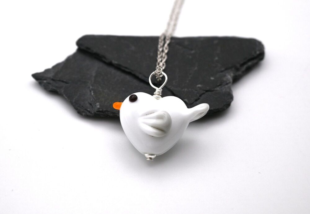 seagull