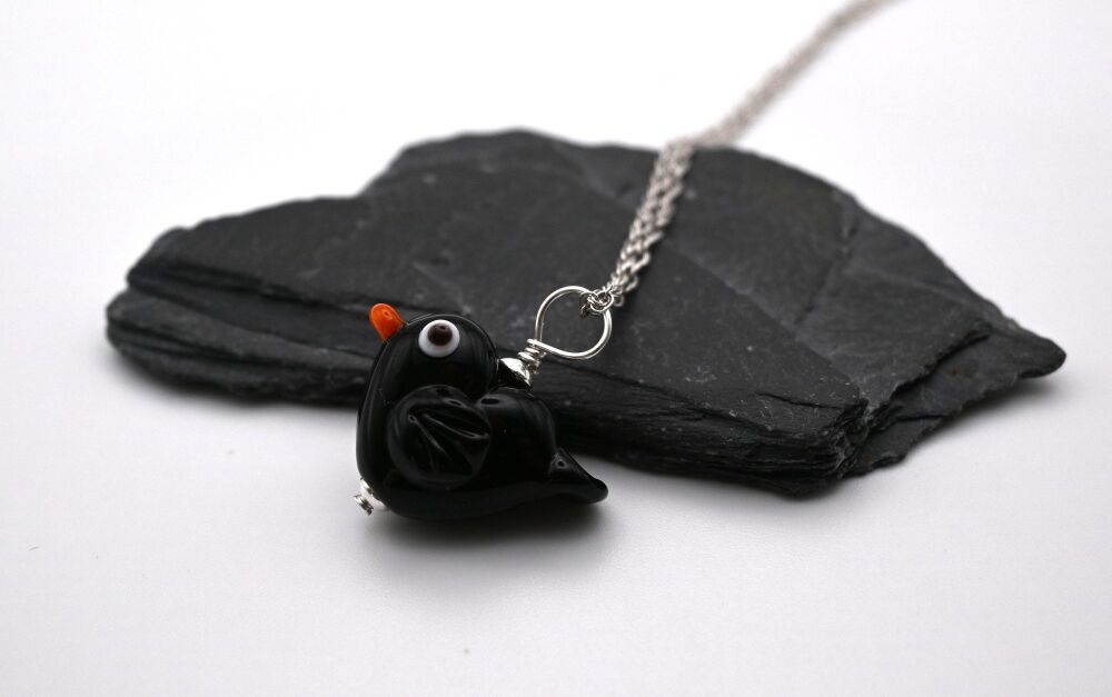 blackbird - medium