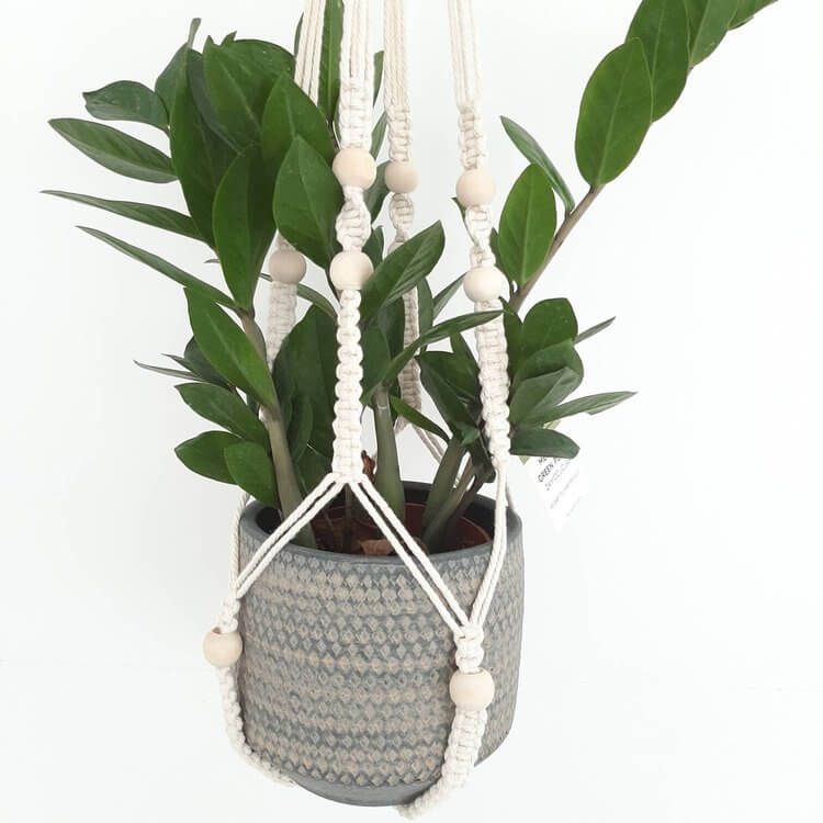 Glolife™ MACRAMÉ PLANT HANGER (with ceiling hook included)