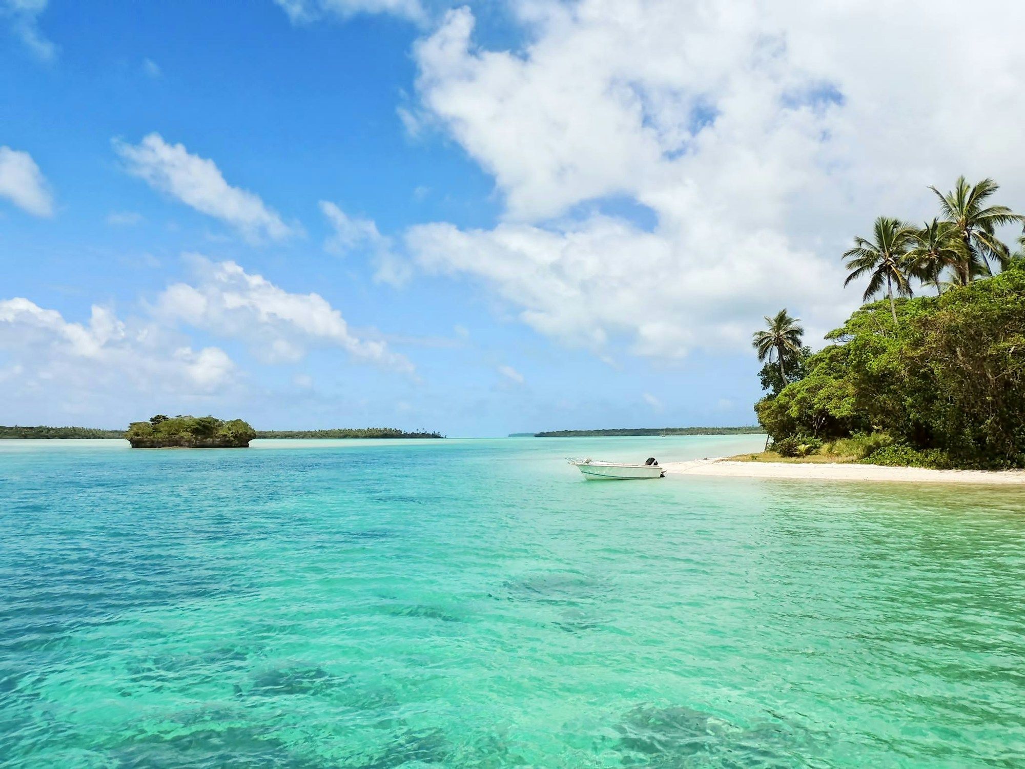 white-boat-on-body-of-water-near-green-palm-trees-n7DY58YFg9E