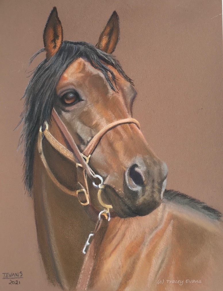 Bay Stallion, Lambourn