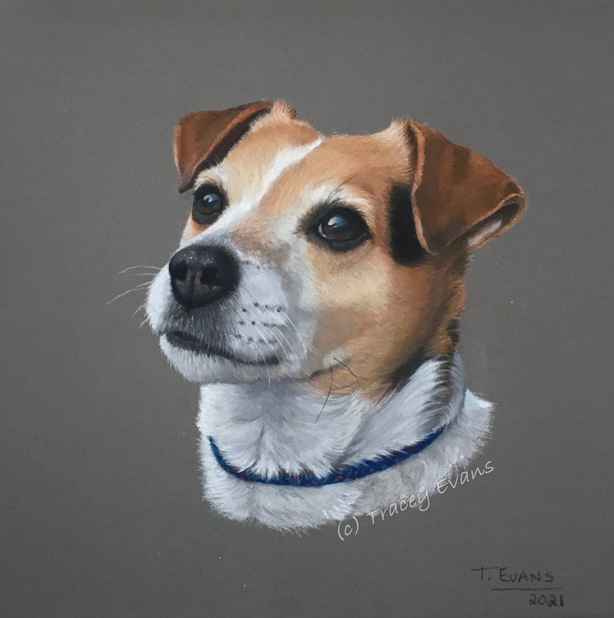 Jack Russell