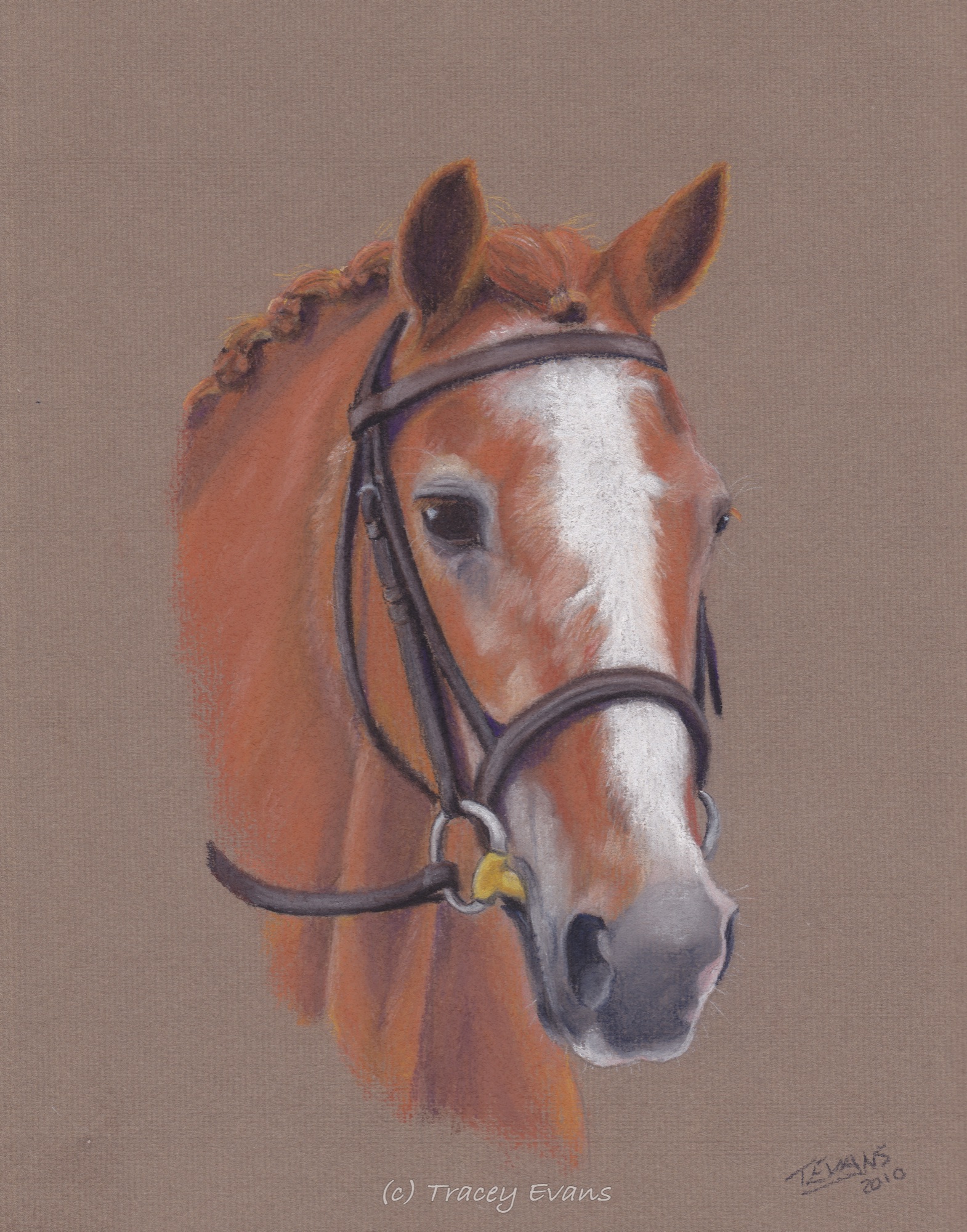 Chestnut Mare