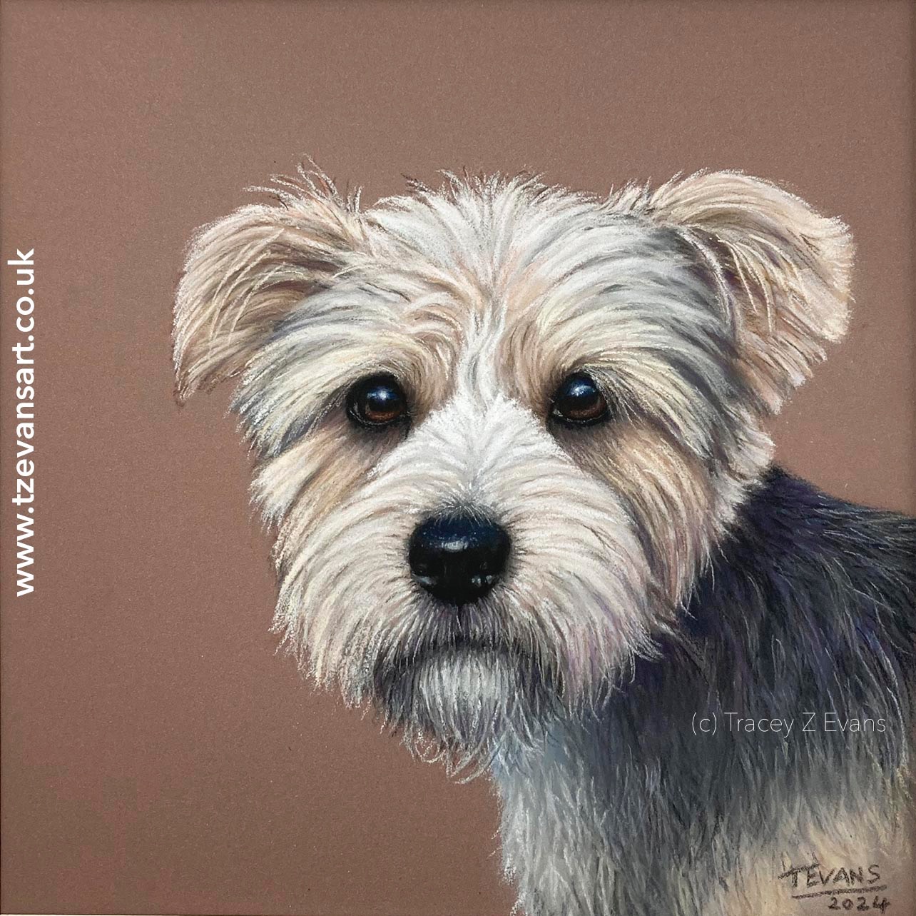 Yorkshire Terrier