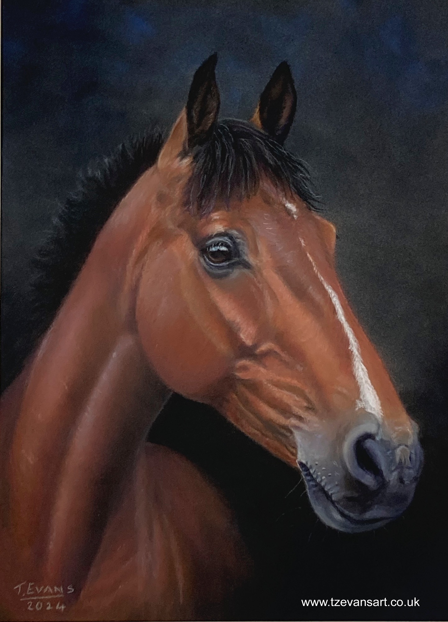 Bay Horse, pastel painting
