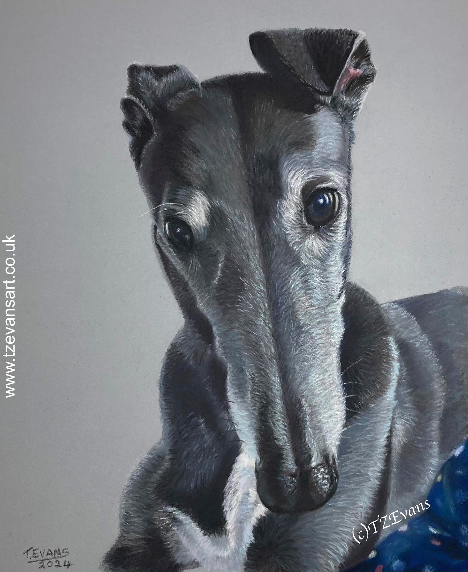 Greyhound, dog, Hungerford