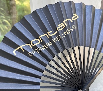 Branded fan for Giveaway