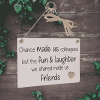 Personalised Handmade Friendship Wooden Wall Hanging - Chance Made Us Colleagues