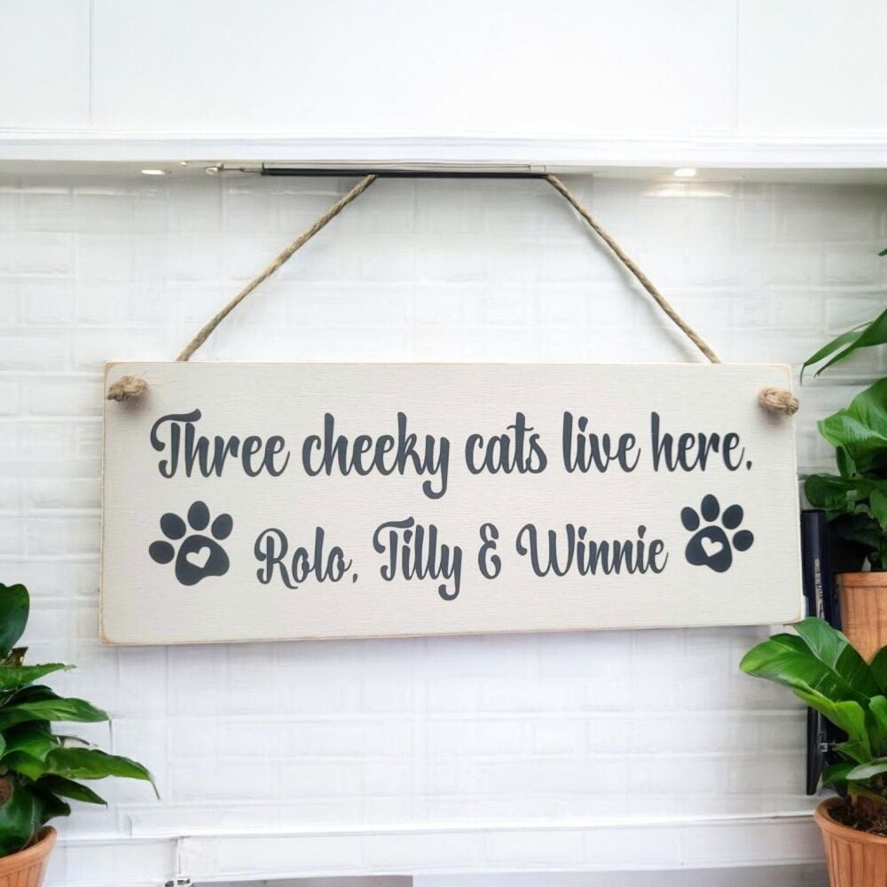 A House Is Not A Home Without... Hanging Wooden Painted Personalised Plaque