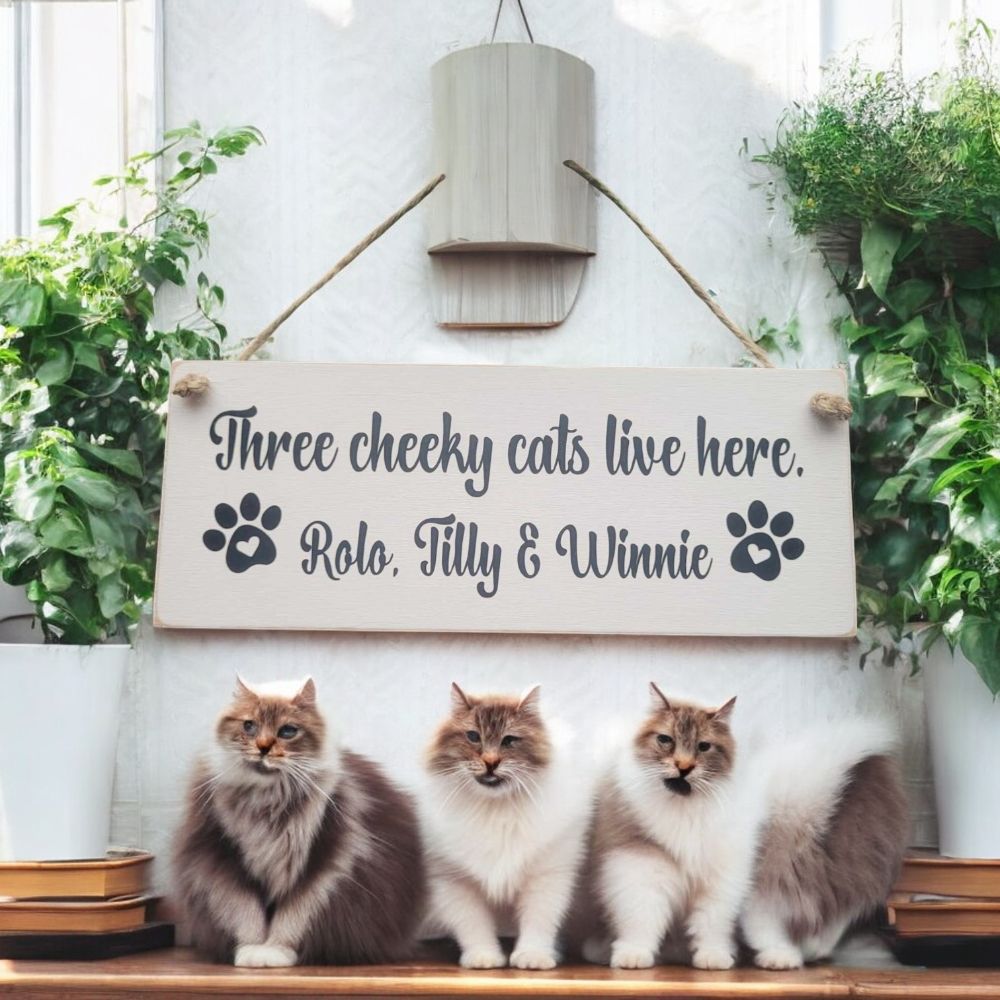 Our Pets