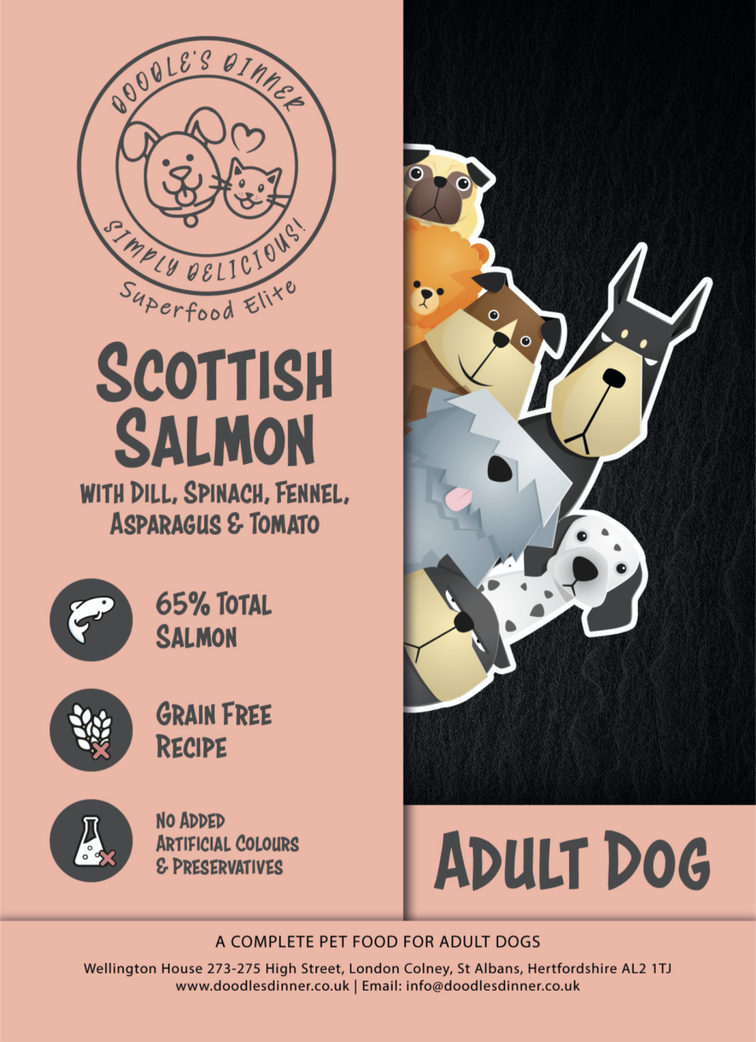 Elite 65:35 Adult Scottish Salmon with Botanicals and Superfoods