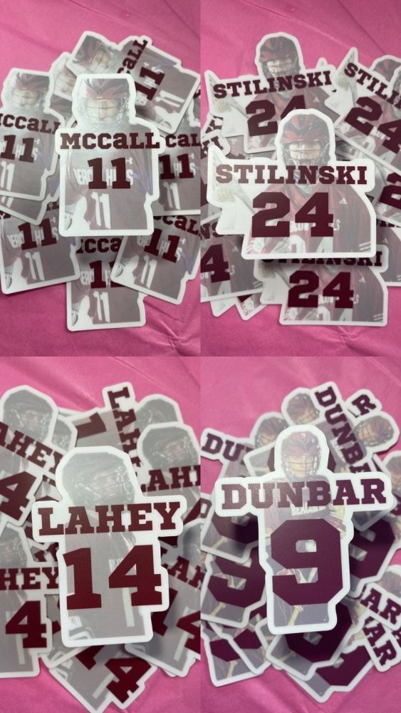 TEEN WOLF inspired Beacon Hills lacrosse boys STICKER - 4 Characters to choose from