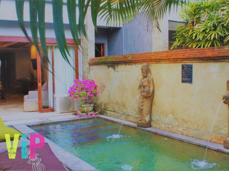 VIP119,Swimming pool-villa apartment