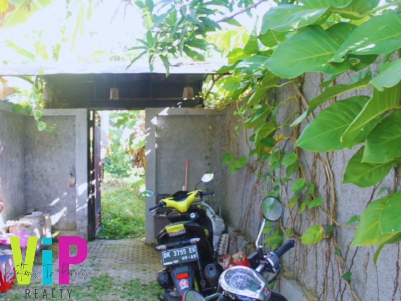VPV123(1)