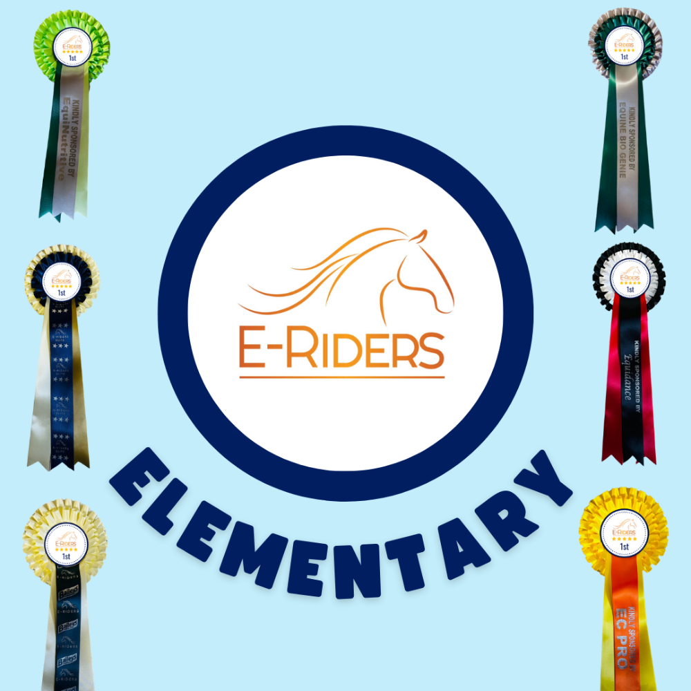 4. Elementary