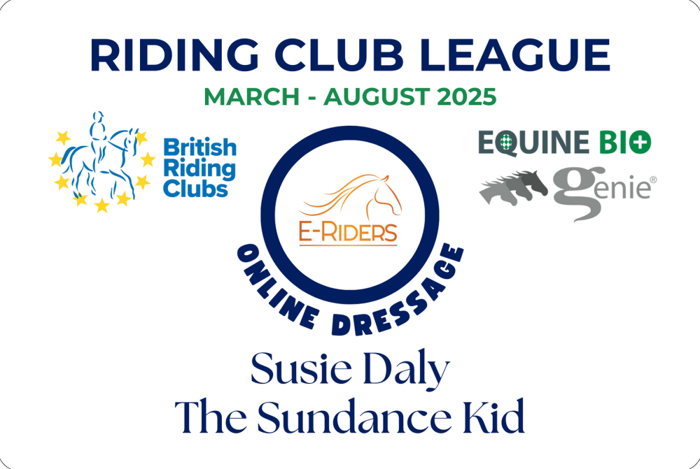 E-Riders League Plaques