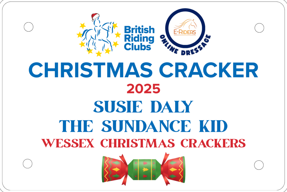 Christmas Cracker - Metal Stable Plaque