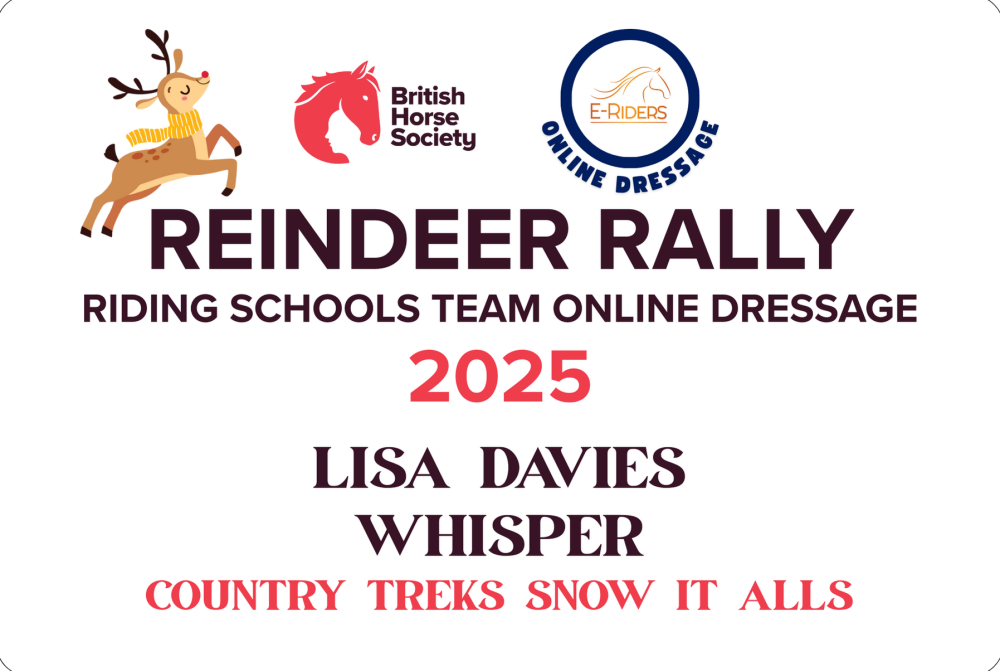 Christmas Reindeer Rally - Metal Stable Plaque