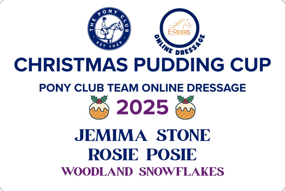 Christmas Pony Club Pudding Cup - Metal Stable Plaque