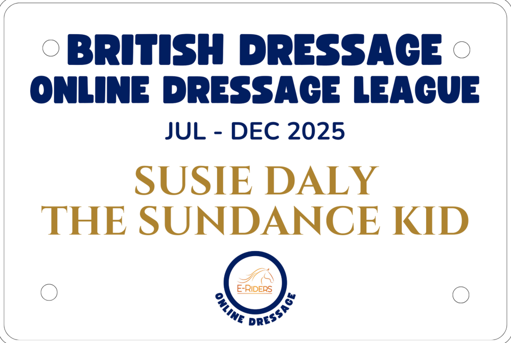 E-Riders League Plaques