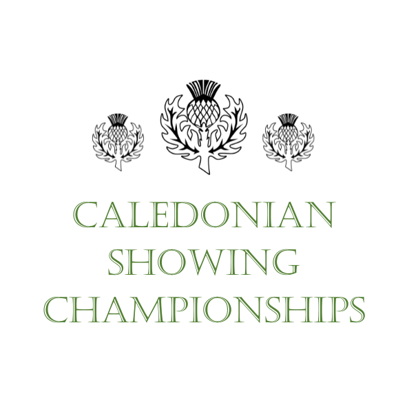 Caledonian Showing Championships