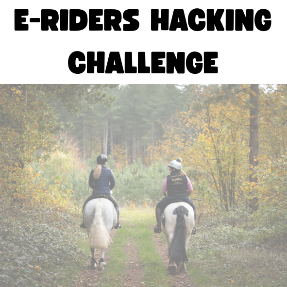E-Riders Hacking Challenge