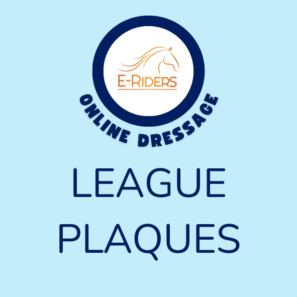 E-Riders League Plaques