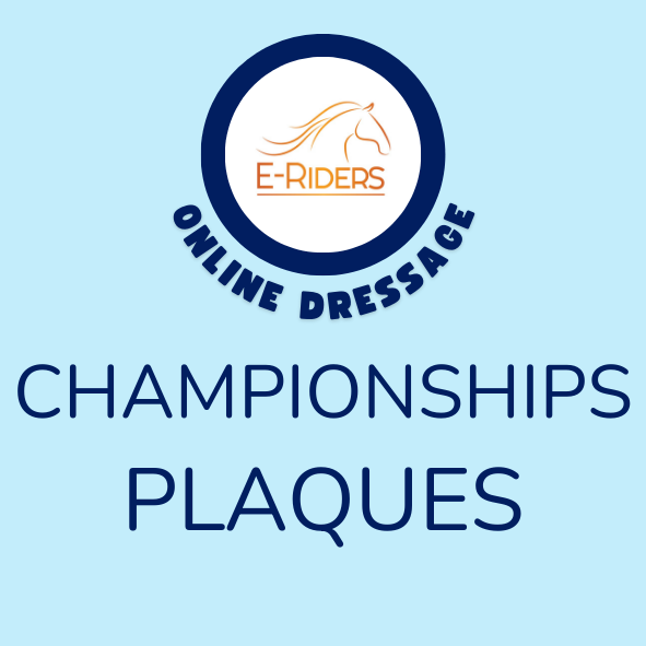 E-Riders Winter Championships 2025 Plaques