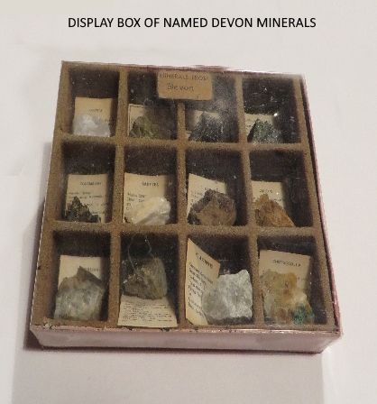 DEVON MINERALS