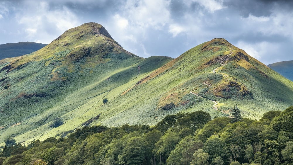 Catbells Summer