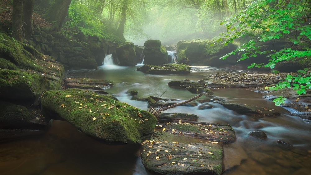 Gelt River Mist