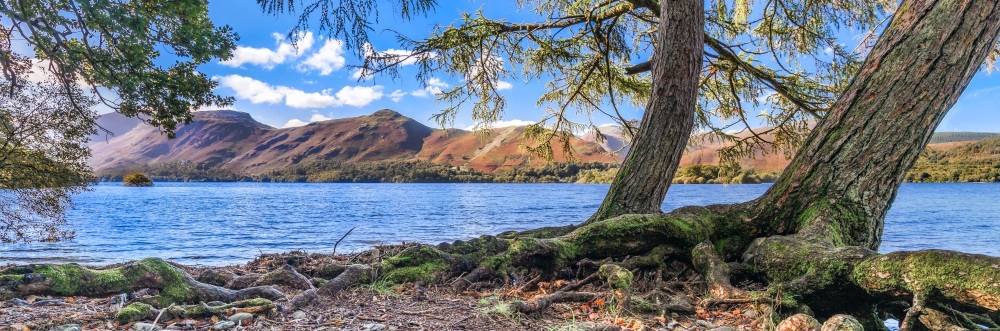 Catbells Autumn Trees Panoramic