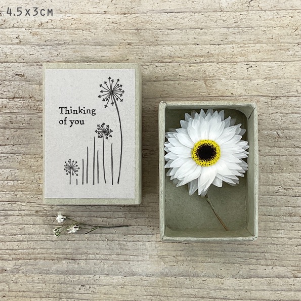 MATCHBOX | Dried flowers | Thinking of you