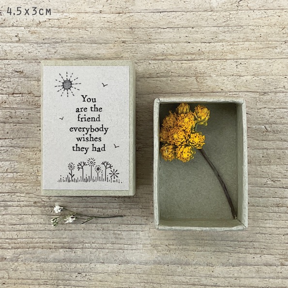 MATCHBOX | Dried flowers | You are the friend everyone wishes they had